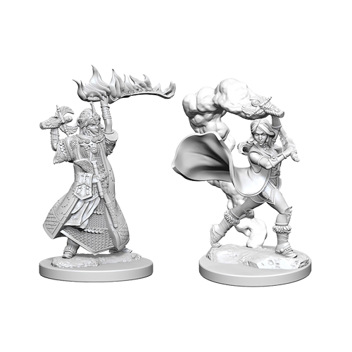 Набор Миниатюр Pathfinder Deep Cuts Unpainted Miniatures - Human Female Cleric