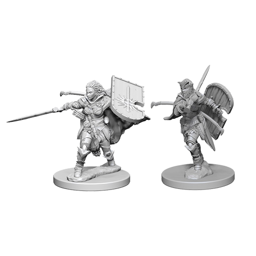 Набор Миниатюр Pathfinder Deep Cuts Unpainted Miniatures - Human Female Paladin