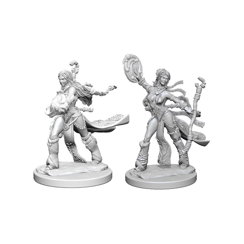 Набор Миниатюр Pathfinder Deep Cuts Unpainted Miniatures - Human Female Sorcerer